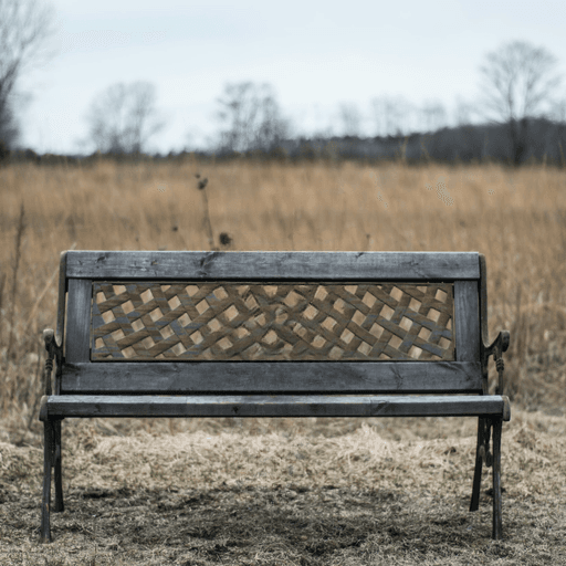 输出图片 - 移除对象后的结果